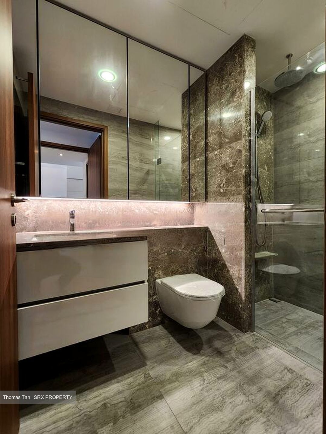 Fourth Avenue Residences (D10), Apartment #491888061